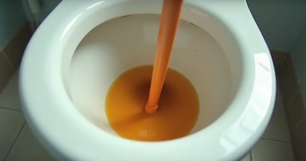 Desentupir Vaso Sanitário: O Segredo Rápido Que Ninguém Conta! Desentupir Vaso Sanitário: O Segredo Rápido Que Ninguém Conta!